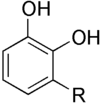 lacachina2
